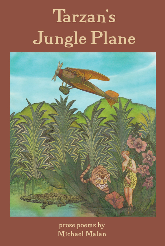 Tarzan's Jungle Plane